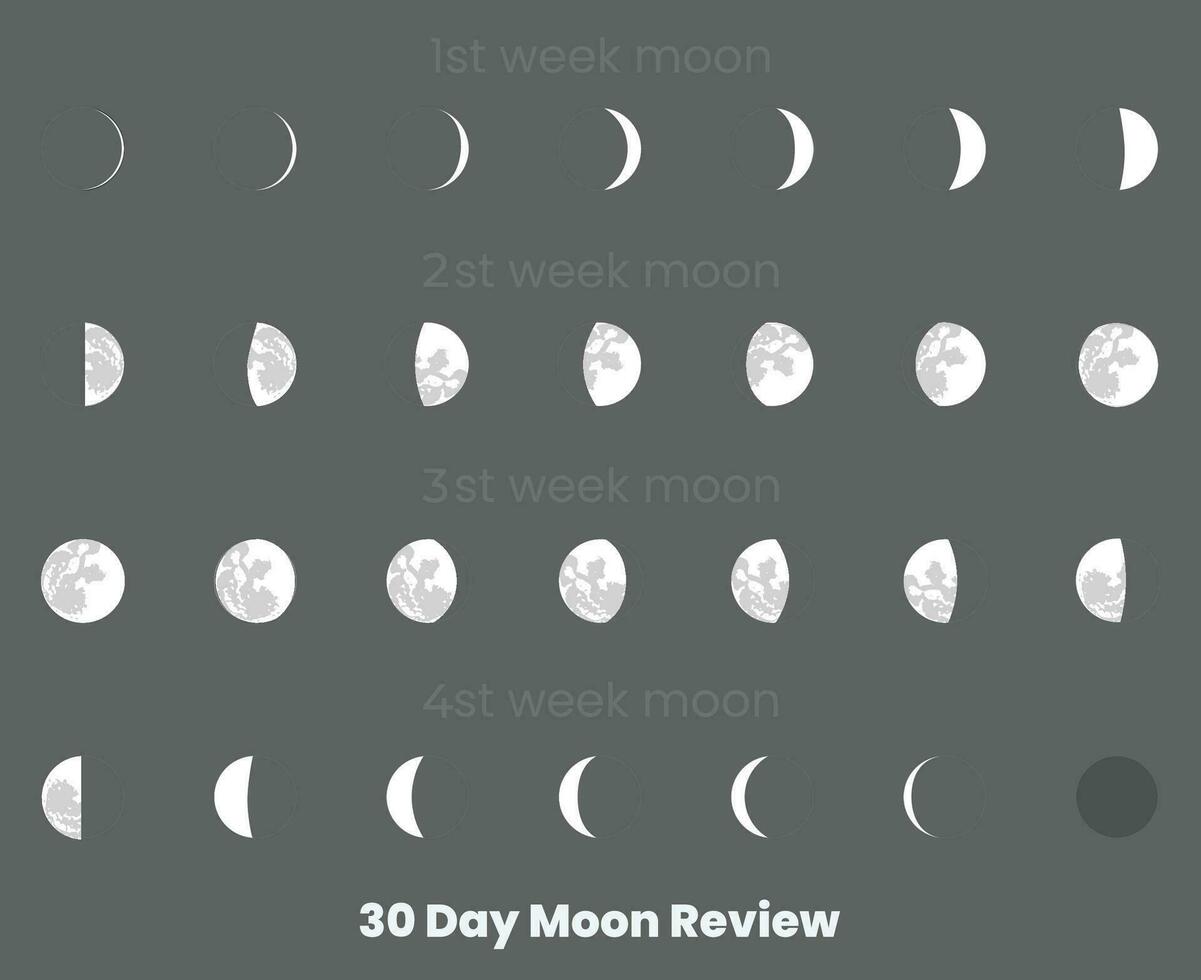 30 Tag Mond Phasen und Mond Kalender vektor