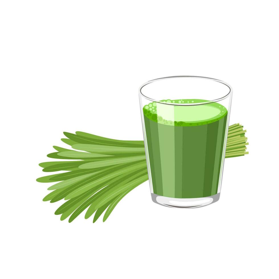 vektor illustration, en glas av vetegräs juice, med en knippa av färsk vetegräs, vetenskaplig namn triticum aestivum, isolerat på vit bakgrund.