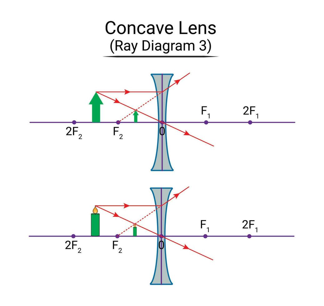 konkav lins stråle diagram 3 vektor