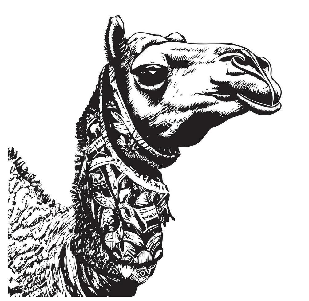 kamel huvud hand dragen skiss vektor illustration egypten