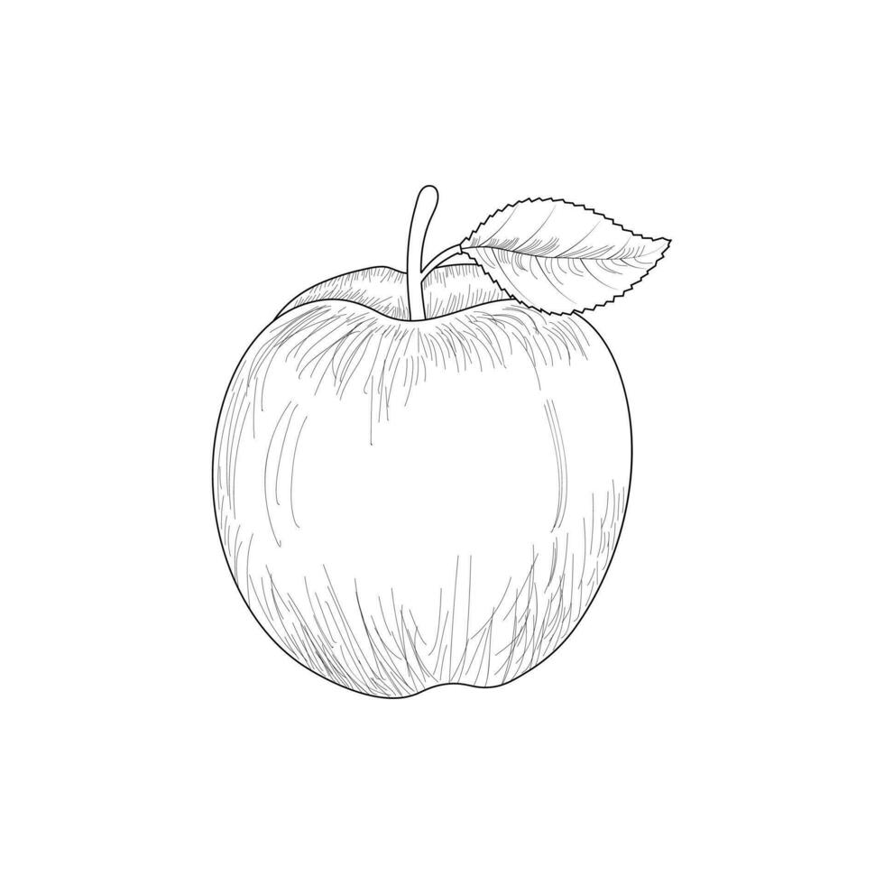 äpple frukt översikt illustration vektor