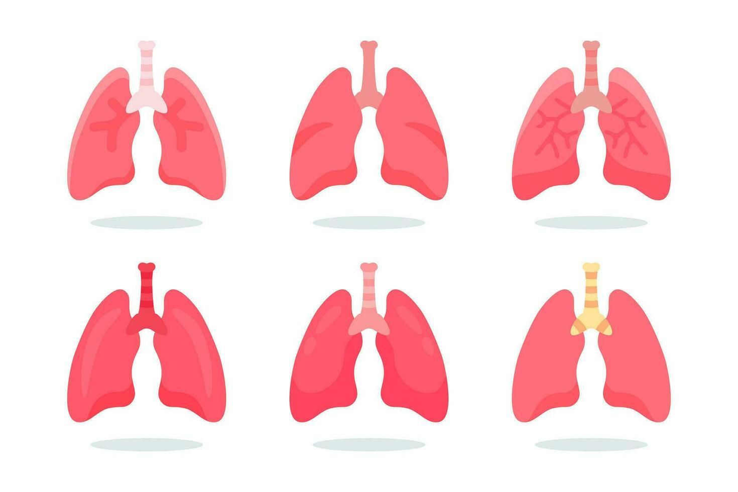 Mensch intern Lunge Vektor. Mensch Lunge Anatomie Struktur Illustration vektor