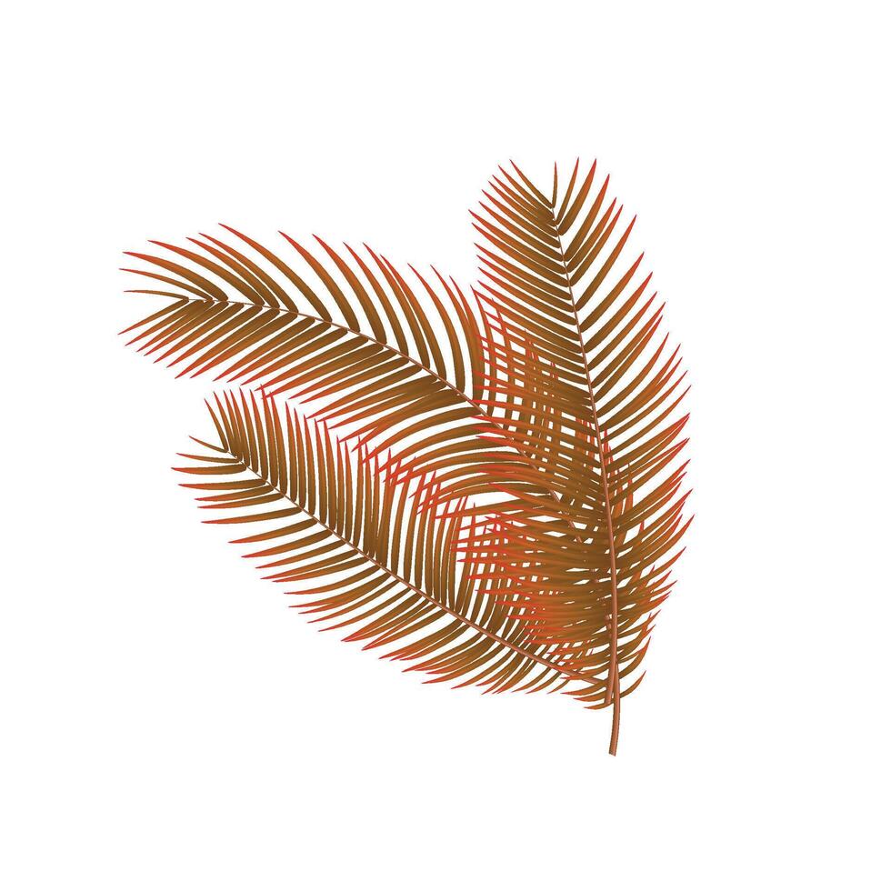 vektor tropisk brun handflatan löv isolerat uppsättning
