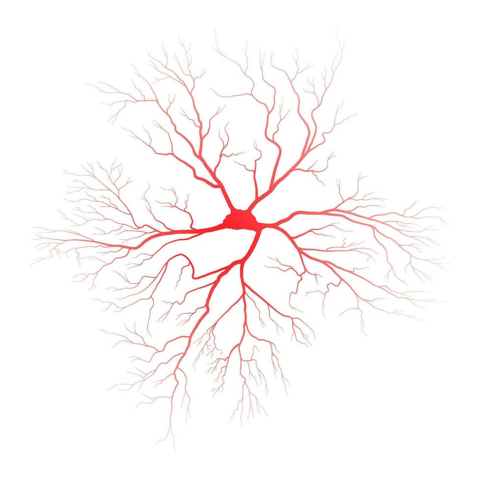 mänsklig öga blod vener fartyg silhuetter vektor illustration isolerat på vit bakgrund.