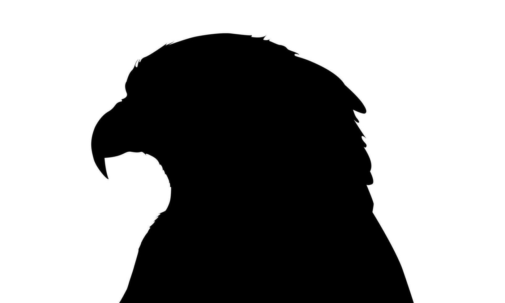 Silhouette von ein Adler vektor