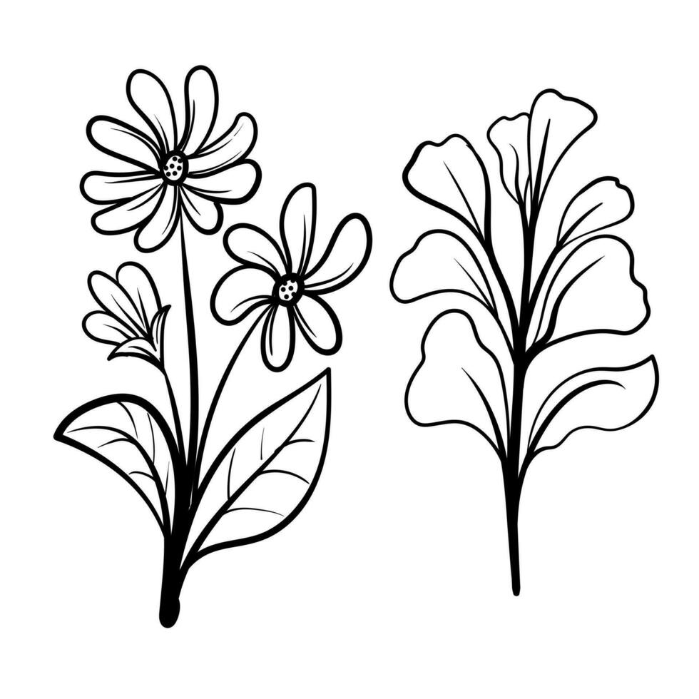 einstellen von botanisch Künste. Hand gezeichnet Linie Zeichnung von abstrakt Blume, Blumen, Rose, tropisch Blätter, Frühling und Herbst Blatt, Strauß von Oliven vektor
