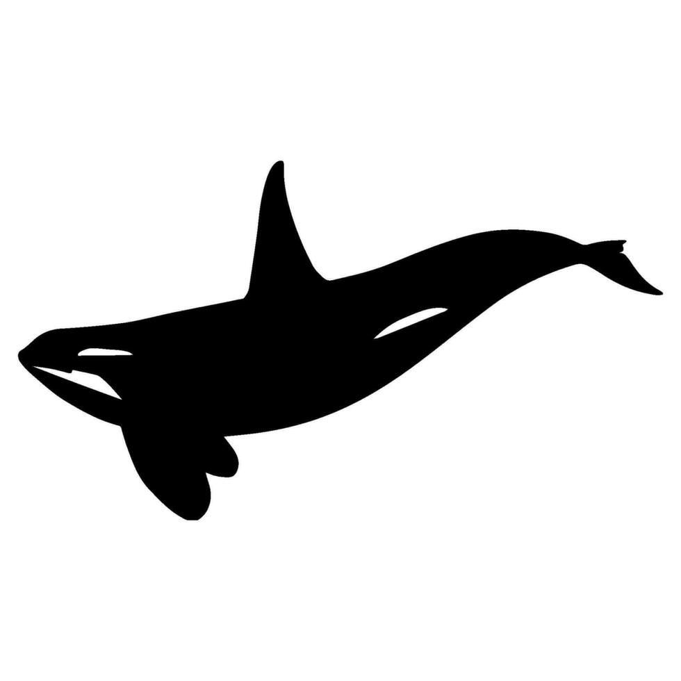 Orca Vektor schwarz Silhouette