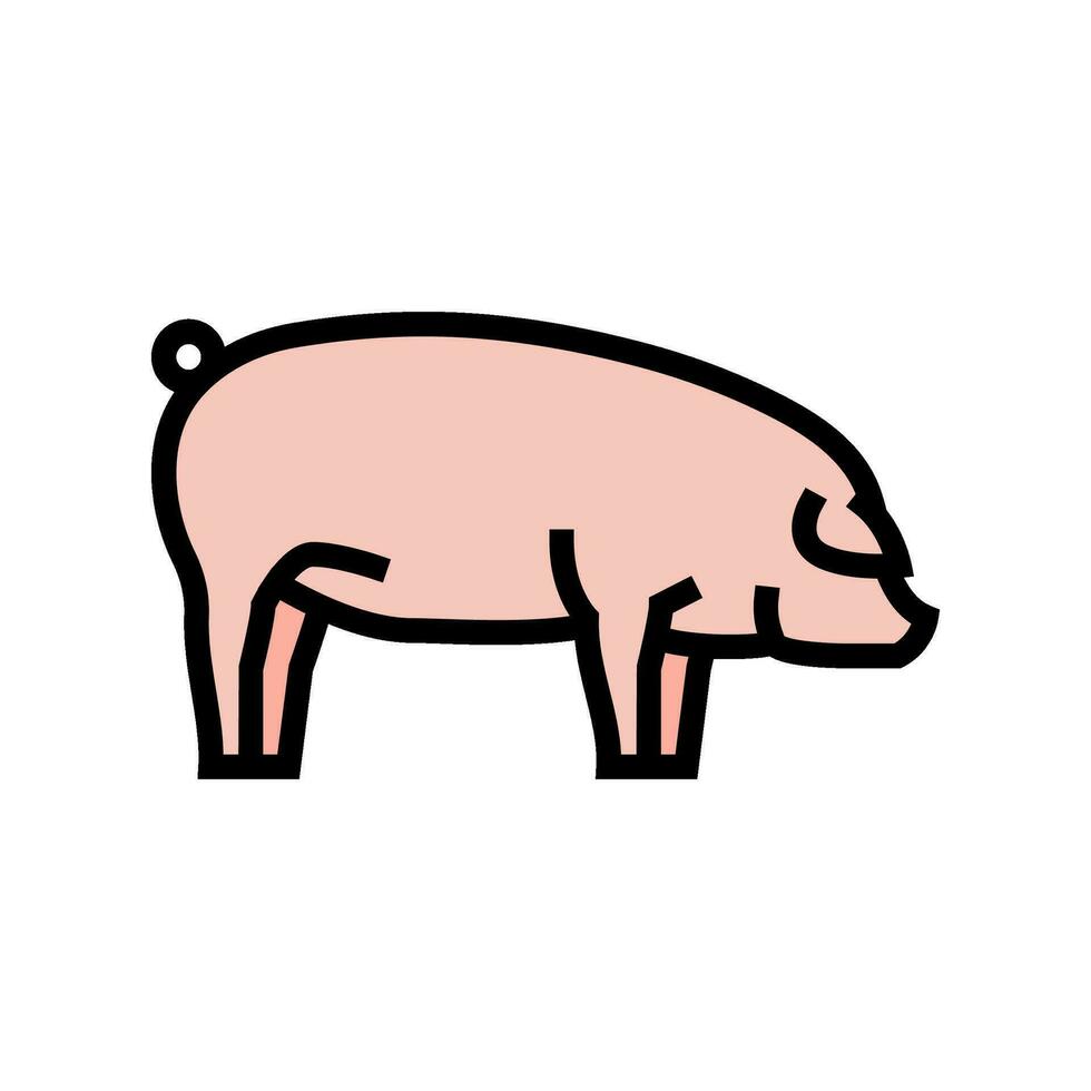 Landrasse Schwein Rasse Farbe Symbol Vektor Illustration