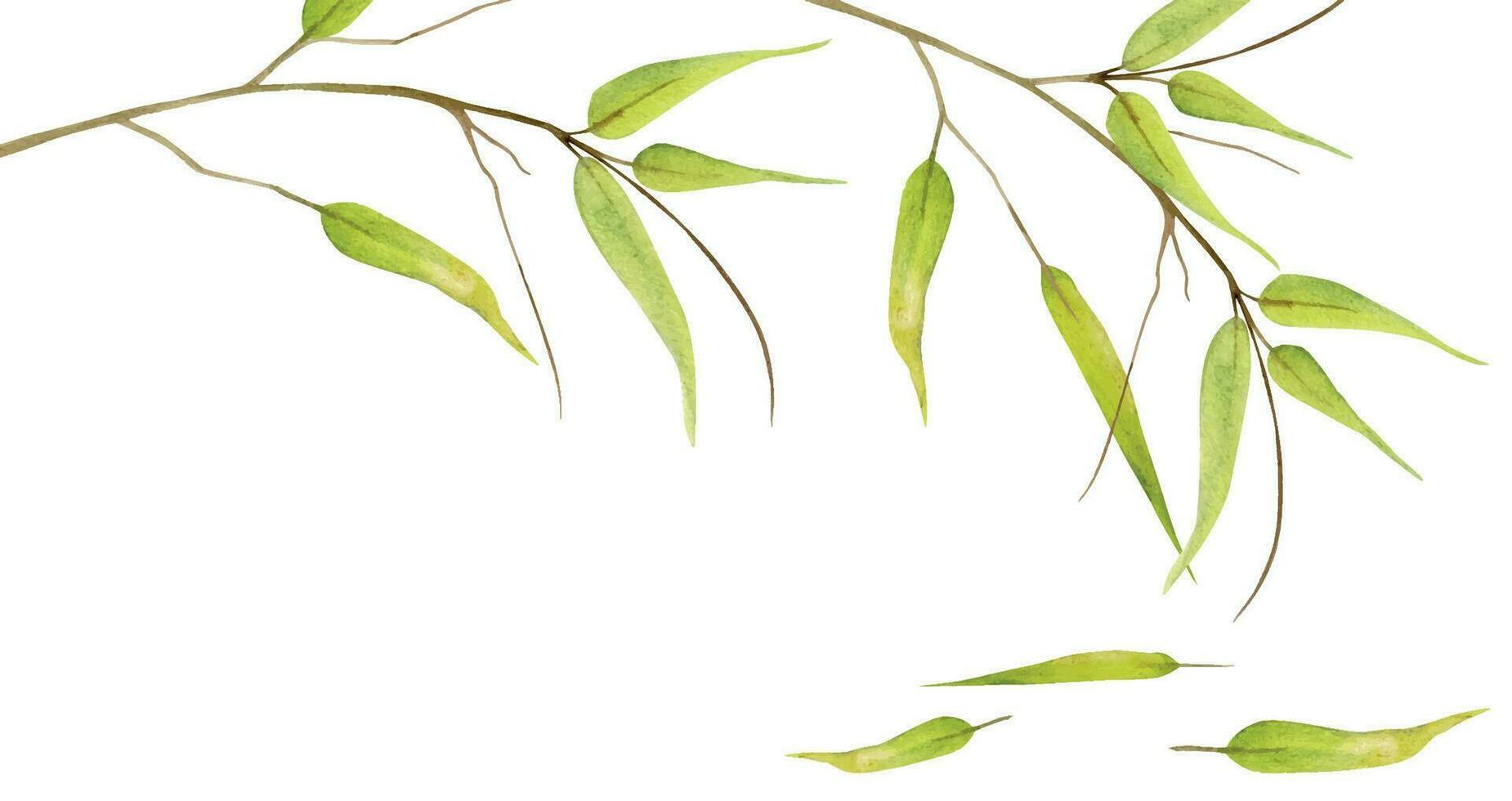 Hand gezeichnet Aquarell Gelb Grün Bambus Blätter auf Ast. natürlich Pflanze. botanisch Illustration isoliert Objekt horizontal Rahmen auf Weiß Hintergrund. zum Geschäft Logo drucken, Webseite, Karte, Broschüre. vektor