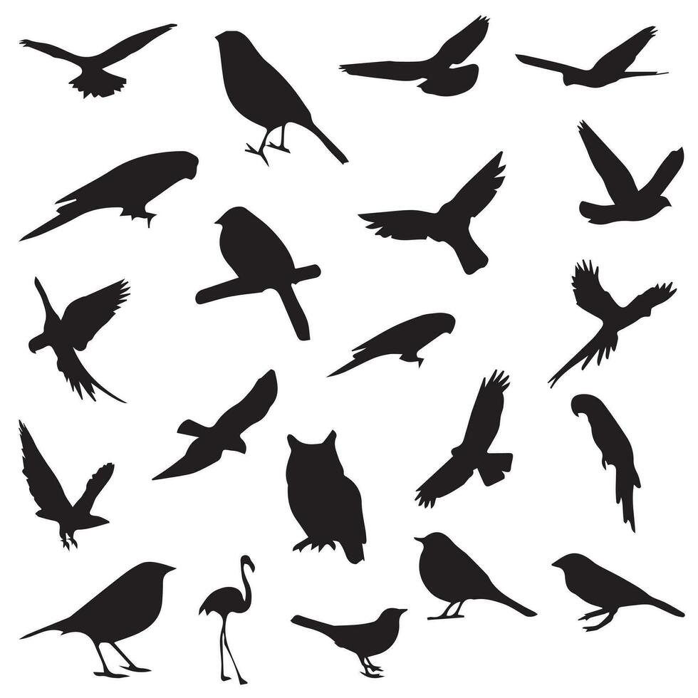 schön Vögel Sitzung und fliegend im anders Positionen. wild schluckt Vogel fliegend, Silhouetten auf ein Weiß Hintergrund. schluckt voll Körper Silhouette Sammlung. wild schluckt Vogel Silhouette bündeln. vektor