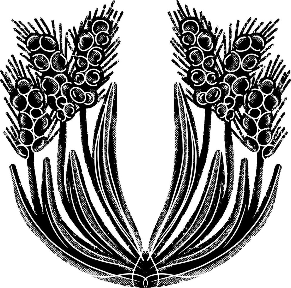 en svart och vit illustration av en blomma vektor