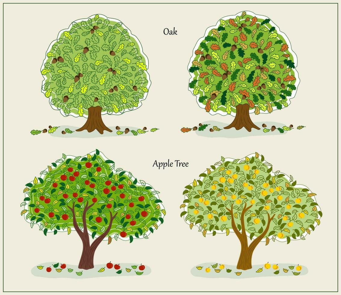 einstellen von Herbst Eiche, Apfel Bäume vektor