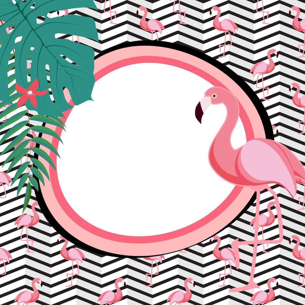 niedlicher Sommer abstrakter Rahmenhintergrund mit rosa Flamingo-Vektorillustration vektor