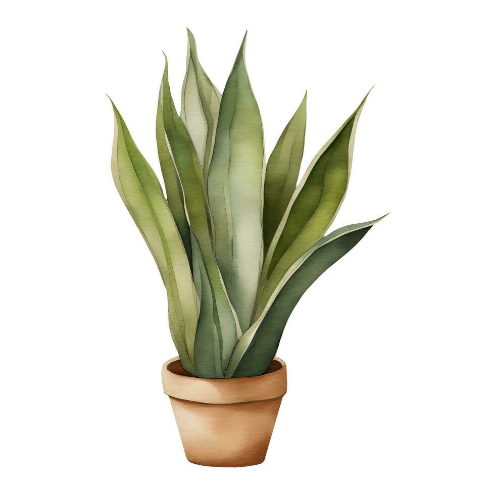 Schlange Pflanze Sansivieria Dracaena trifasciata im Lehm Topf isoliert Hand gezeichnet Aquarell Gemälde Illustration vektor