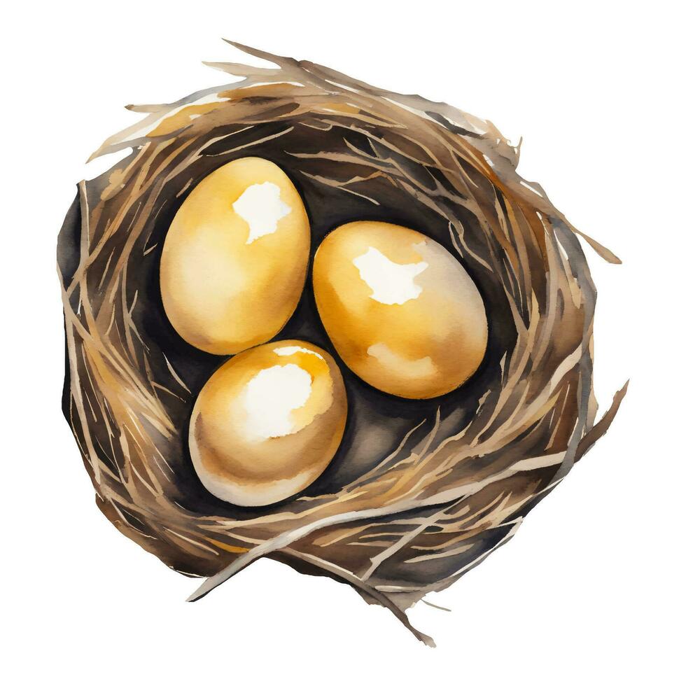 golden Eier im das Nest oben Aussicht isoliert Hand gezeichnet Aquarell Gemälde Illustration vektor