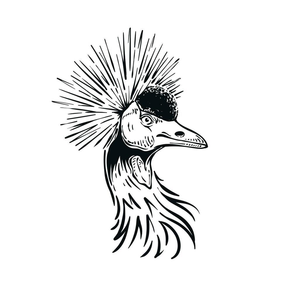 detailliert Zeichnung von grau gekrönt Kran Kopf zu Hals Illustration Vogel Porträt Vektor Design