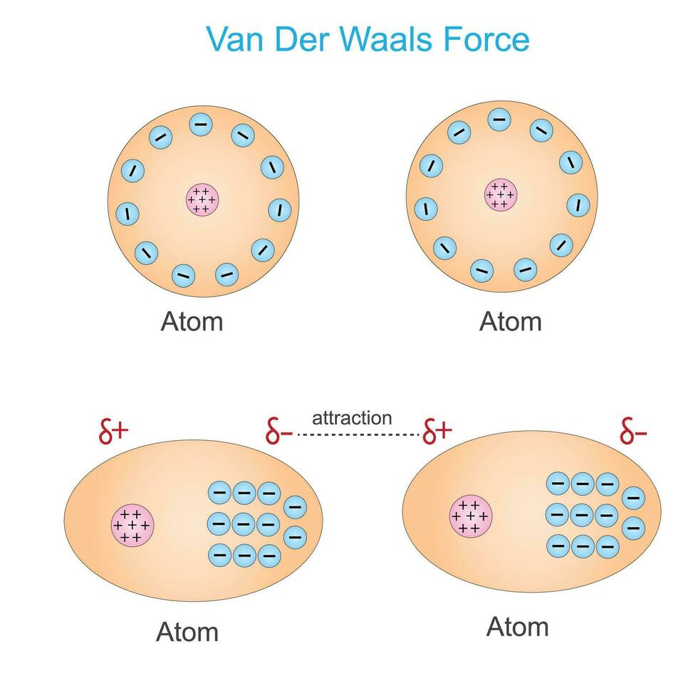 van der waals Macht ist ein entfernungsabhängig Interaktion zwischen Atome oder Moleküle. nicht wie ionisch oder kovalent Anleihen.die schwach Dipol Attraktion . Physik und Chemie Konzept. vektor