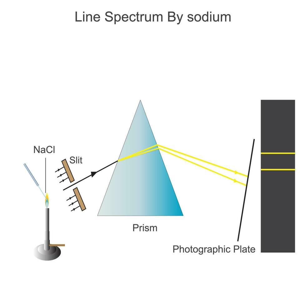 Linie oder diskontinuierlich Spektrum, auftritt wann aufgeregt Atome emittieren Licht von sicher Wellenlängen,a Serie von farbig Linienmit dunkel Räume im zwischen, Linie Spektrum zum Natrium Atom vektor