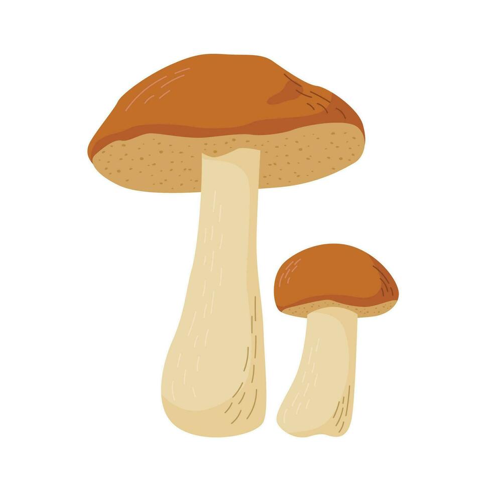 asp- svamp vektor illustration. ätlig svamp i skogar