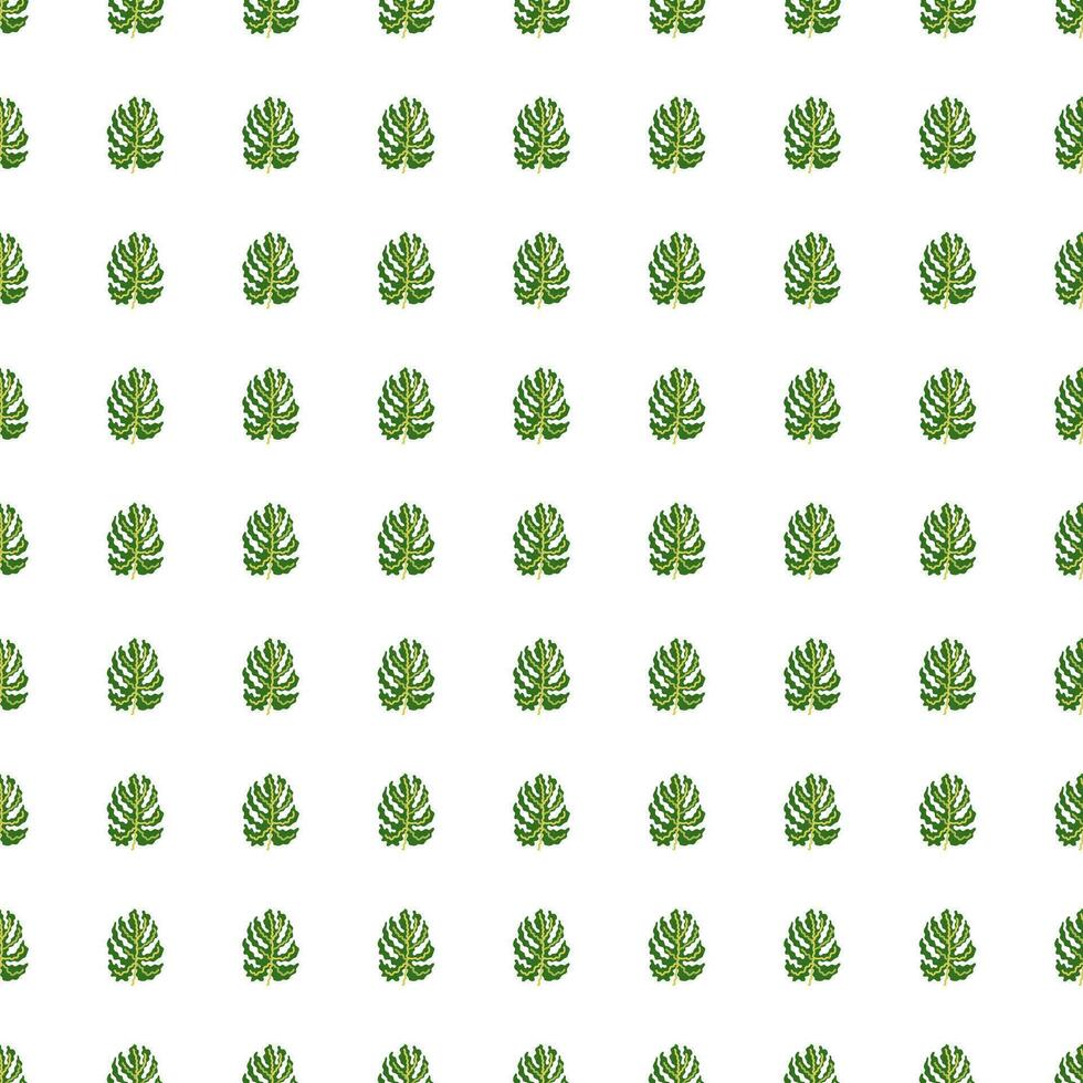abstrakt tropisch Monstera Blätter nahtlos Muster. Urwald Palme Blatt dekorativ Hintergrund. vektor