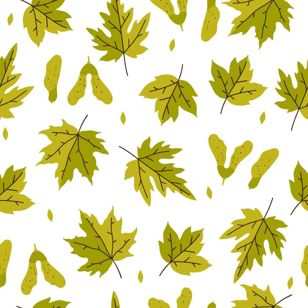 sömlös mönster med grön löv och lönn frön på en vit bakgrund. vektor grafik.