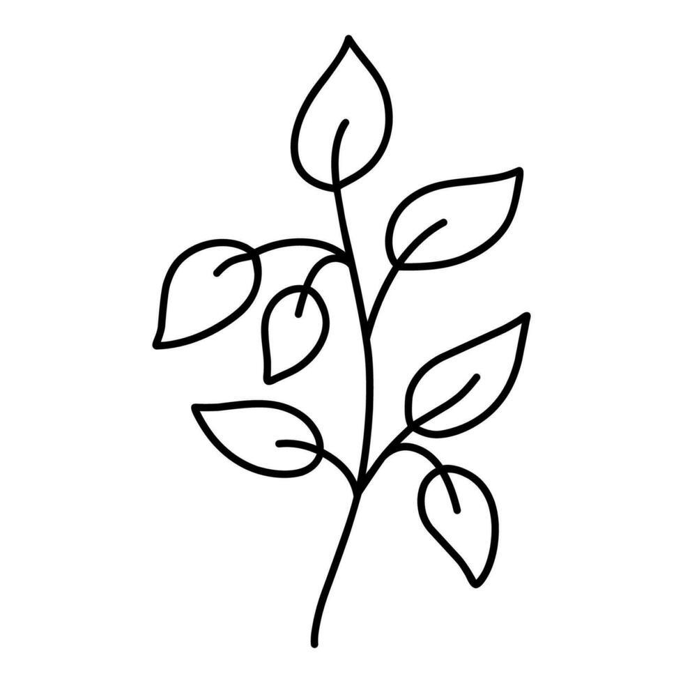 söt gren med löv isolerat på vit bakgrund. vektor ritad för hand illustration i klotter stil. perfekt för kort, logotyp, dekorationer, olika mönster. botanisk ClipArt.