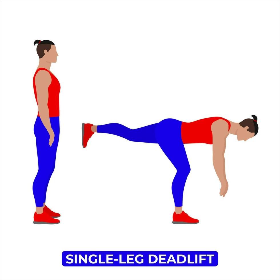 vektor man håller på med enda ben marklyft. kroppsvikt kondition ben träna träning. ett pedagogisk illustration på en vit bakgrund.
