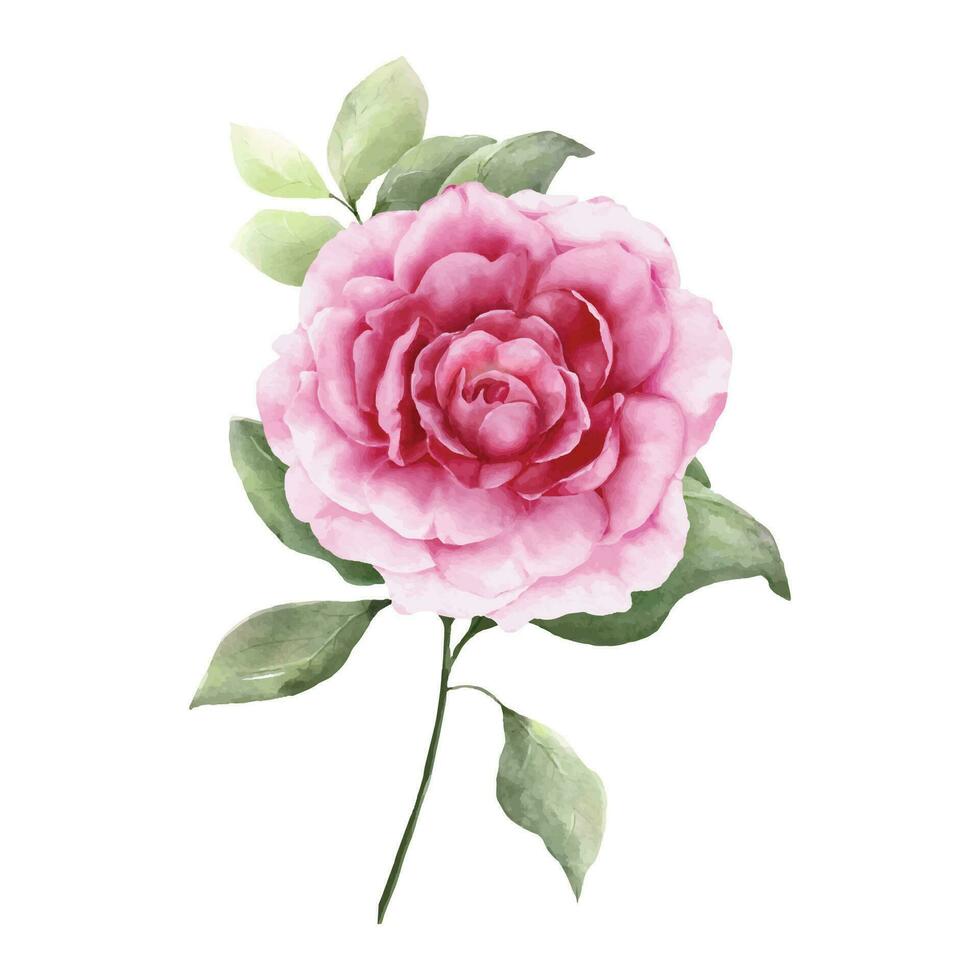 Aquarell Gemälde von ein Rosa Rose Strauß vektor