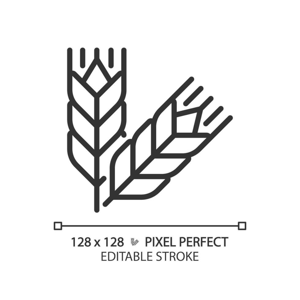 Essen Körner Pixel perfekt linear Symbol. Hafer Mahlzeit. Weizen Ernte. Müsli Getreide. landwirtschaftlich Ware. dünn Linie Illustration. Kontur Symbol. Vektor Gliederung Zeichnung. editierbar Schlaganfall