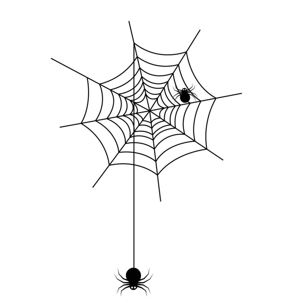 Spinne auf Spinne Netz Illustration Vektor im Karikatur Stil auf Weiß Hintergrund. Halloween Element. Halloween Konzept.