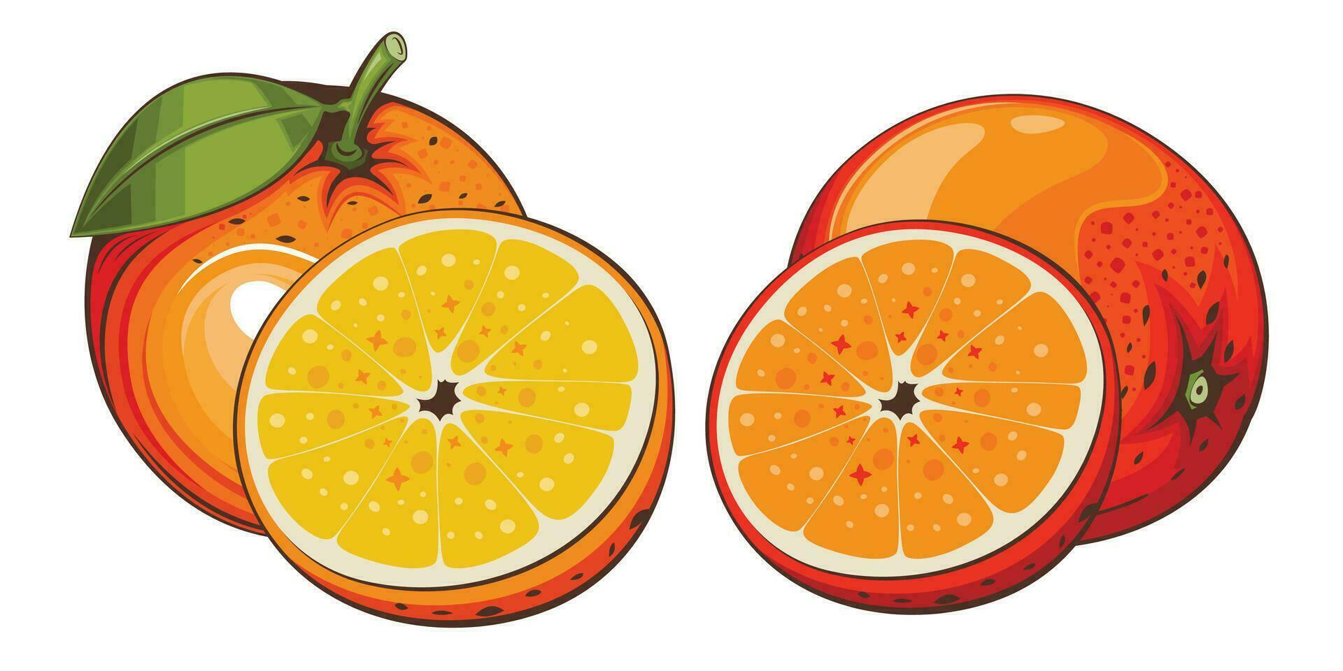Orange isoliert Vektor Illustration. Früchte bunt Abbildungen isoliert auf Weiß Hintergrund. Obst Sammlung.