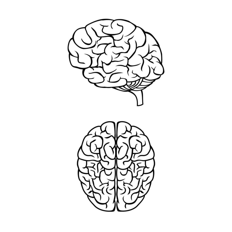 Mensch Gehirn Silhouette Design. Intelligenz Zeichen und Symbol. Wissen und Brainstorming Konzept. vektor