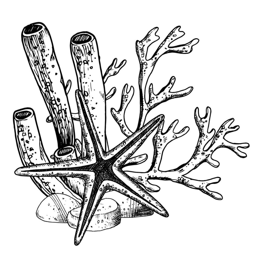 unter Wasser Komposition mit Tube Koralle und Meer Star auf isoliert Hintergrund. Hand gezeichnet Vektor Illustration von Seestern und Seetang zum Symbol oder Logo. Zeichnung von unterseeisch im Linie Kunst Stil. schwarz Tinten.