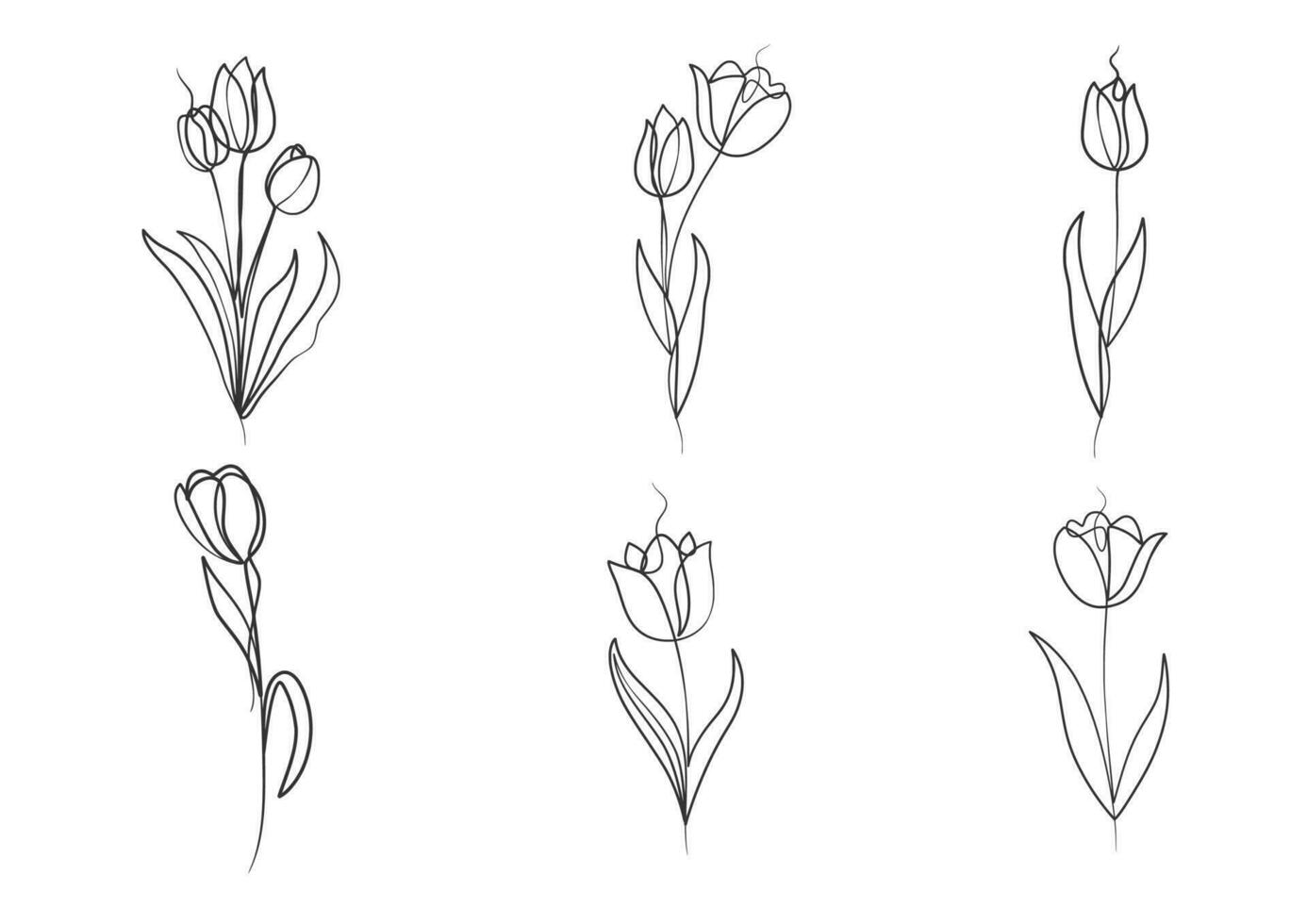 kontinuerlig ett linje konst teckning av skönhet tulpaner blomma vektor