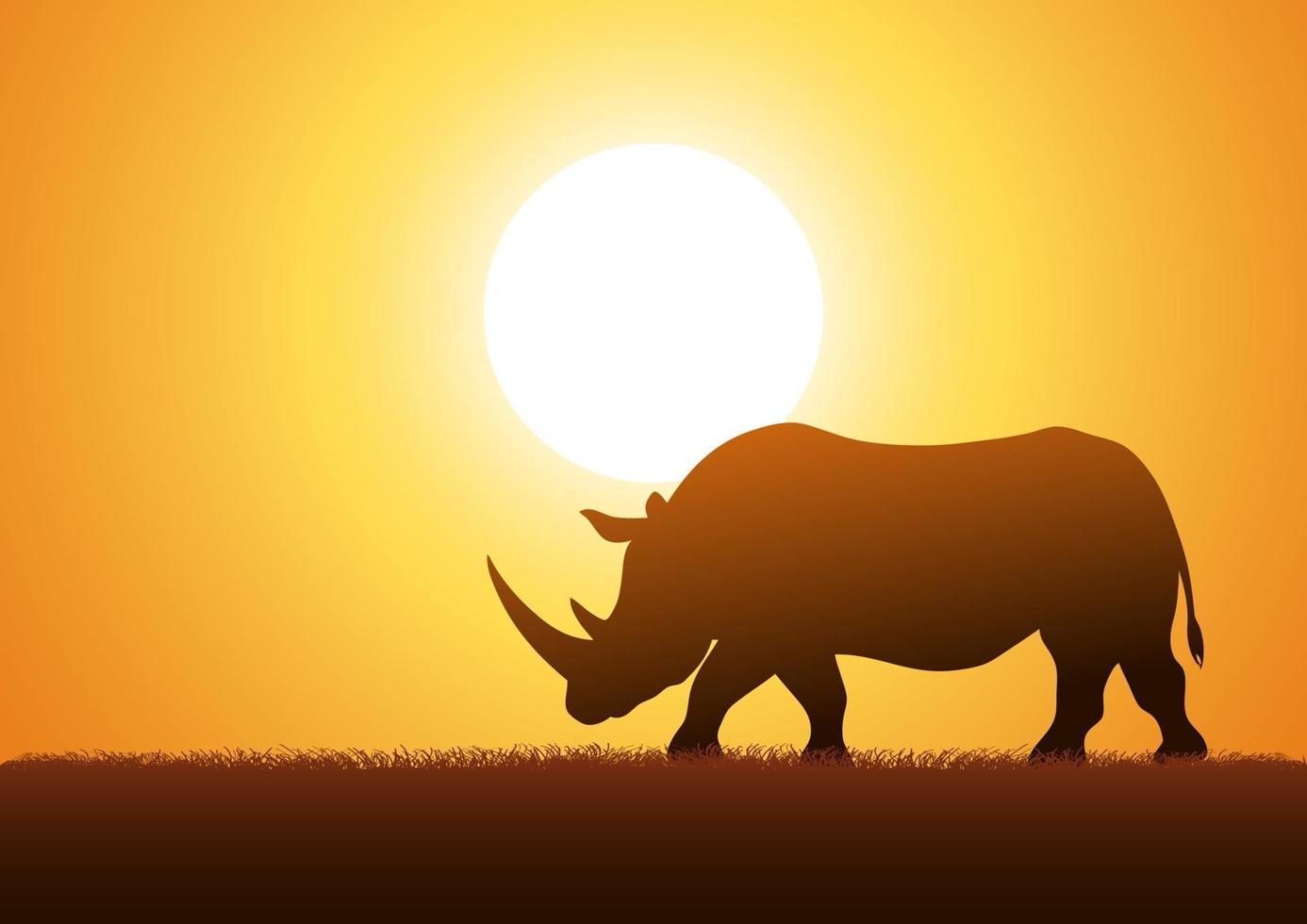 Nashorn vor Sonnenuntergang Hintergrund vektor