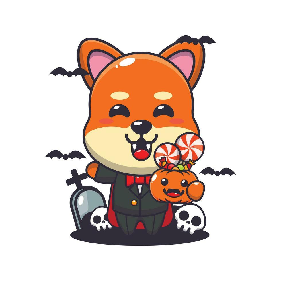 Vampir Shiba inu halten Halloween Kürbis. süß Halloween Karikatur Illustration. vektor