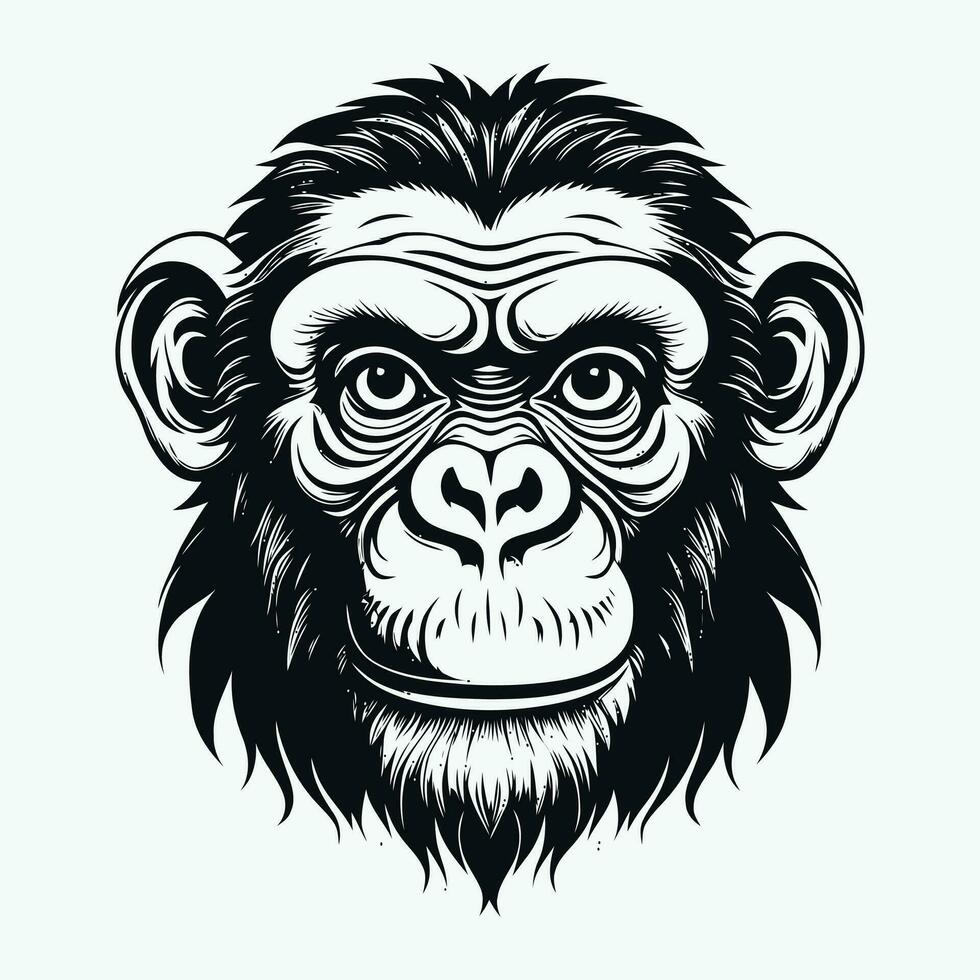 Affe Vektor Logo einfach realistisch Natur Primas Afrika Gorilla Krallenaffen Schimpanse Kunst Zeichnung Illustration wild Tier