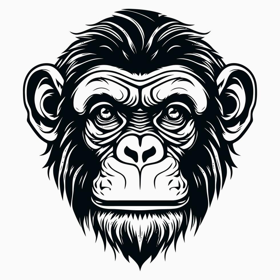 Affe Vektor Logo einfach realistisch Natur Primas Afrika Gorilla Krallenaffen Schimpanse Kunst Zeichnung Illustration wild Tier