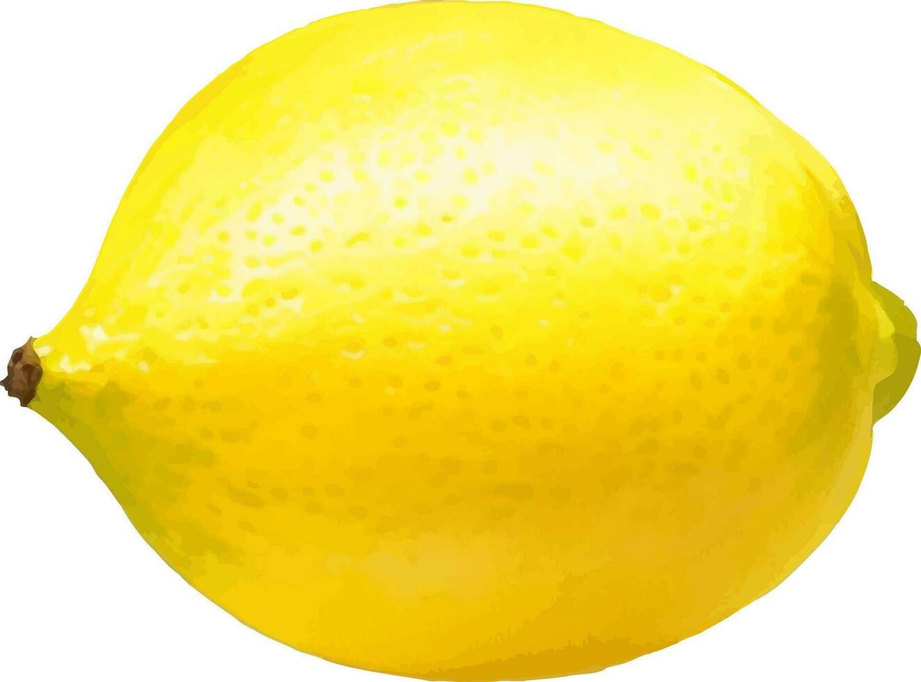 färsk citron- detaljerad skön hand dragen vektor illustration