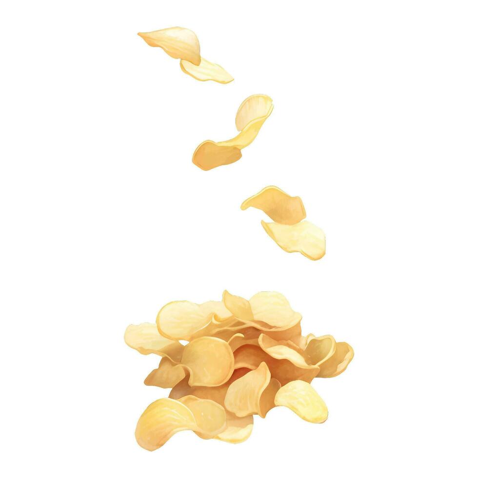 fallen Kartoffel Chips isoliert detailliert Hand gezeichnet Gemälde Illustration vektor