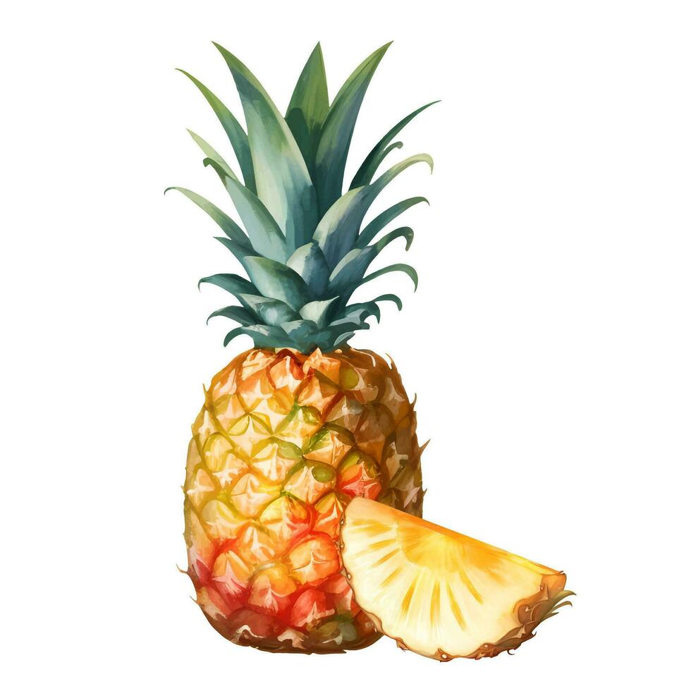 ananas isolerat detaljerad hand dragen målning illustration vektor