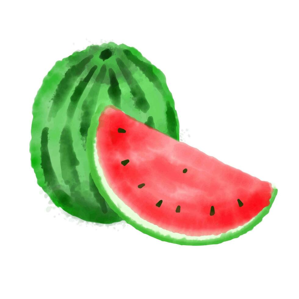 Wassermelone Aquarell Farbe isoliert auf Weiß Hintergrund Vektor. vektor