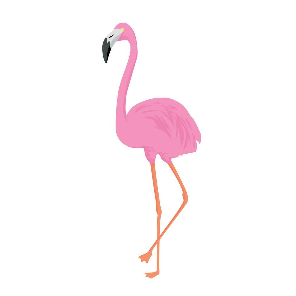 eben Flamingo Karikatur Design. exotisch Sommer- Tier Zeichen und Symbol. vektor