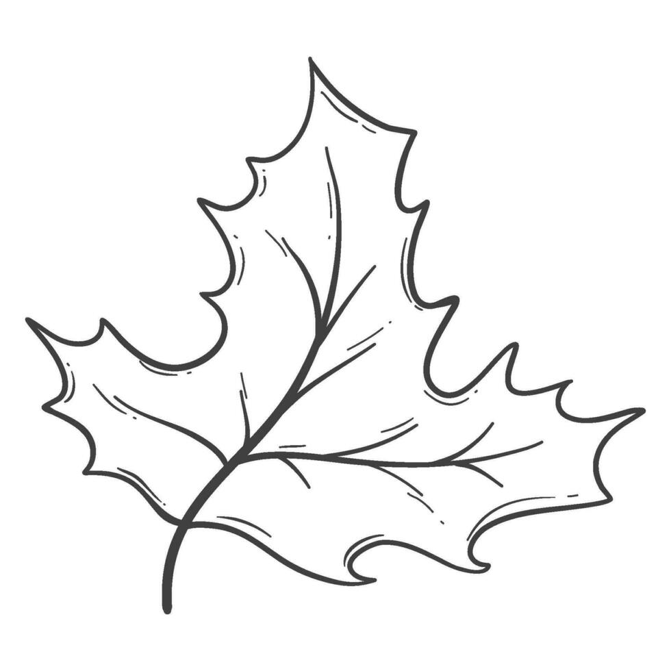 organisch Herbst Blatt Gliederung Dekoration vektor
