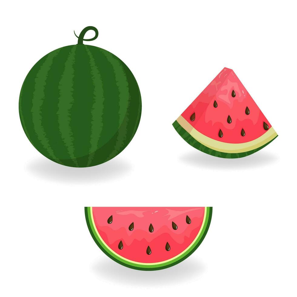 Wassermelone und Wassermelone Scheiben Symbole. Vegetarier Lebensmittel. Vektor Zeichnung.