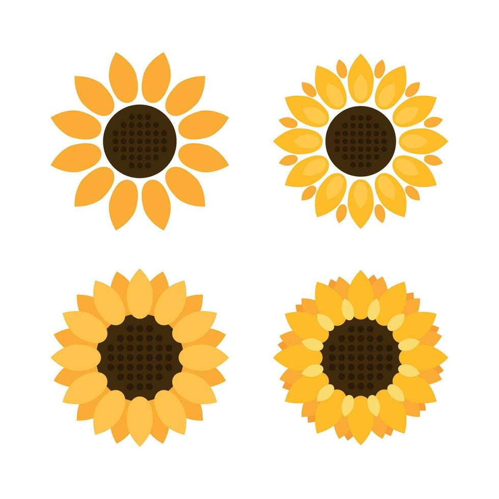 solros ikon i platt stil. flora vektor illustration på isolerat bakgrund. solros tecken företag begrepp.