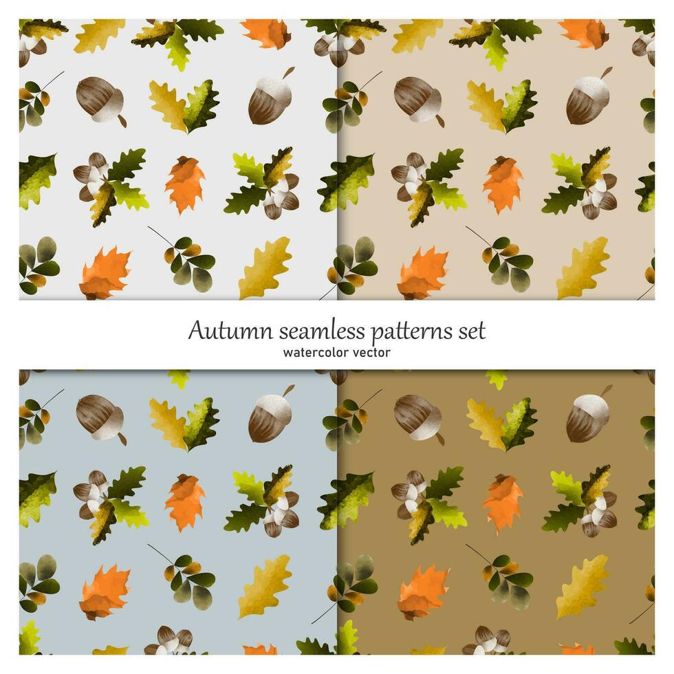 uppsättning av sömlös botanisk mönster.höst löv, ek, ekollon. vattenfärg vektor. vektor
