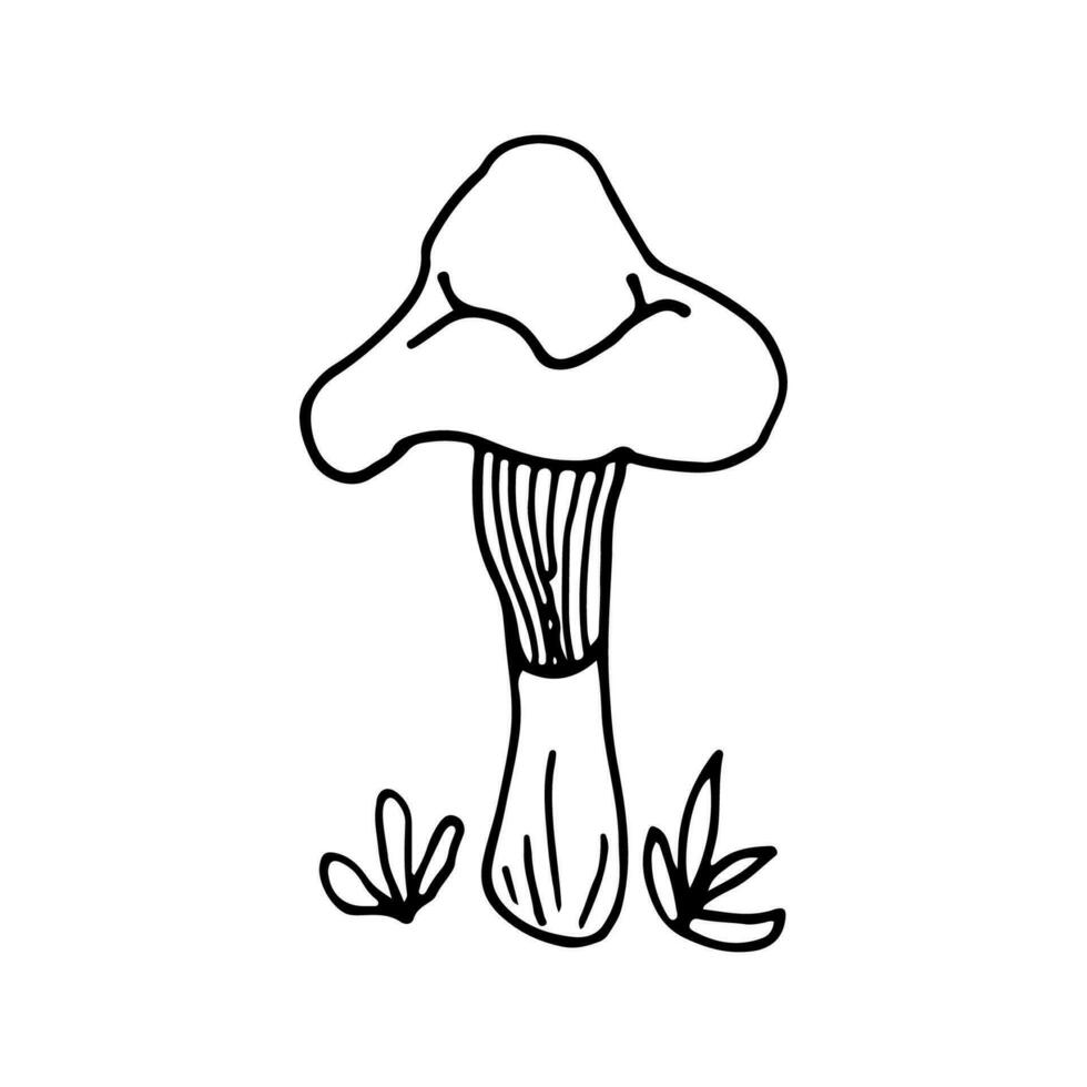 Pilze von Tierwelt, Spore Organismus. Pilzkunde. Pflanze. mystisch Pilze. Gekritzel. Hand gezeichnet. Vektor Illustration. Umriss.