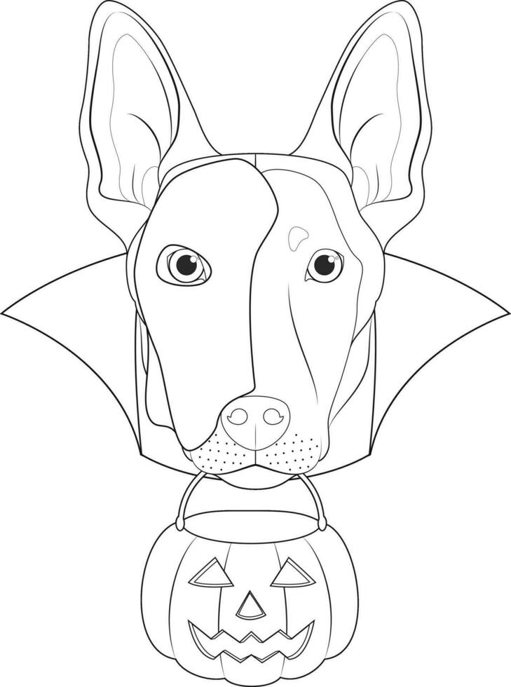 halloween hälsning kort för färg. belgisk sheperd malinois hund med en vit halv mask över hans ansikte, svart cape och en pumpa i de mun vektor