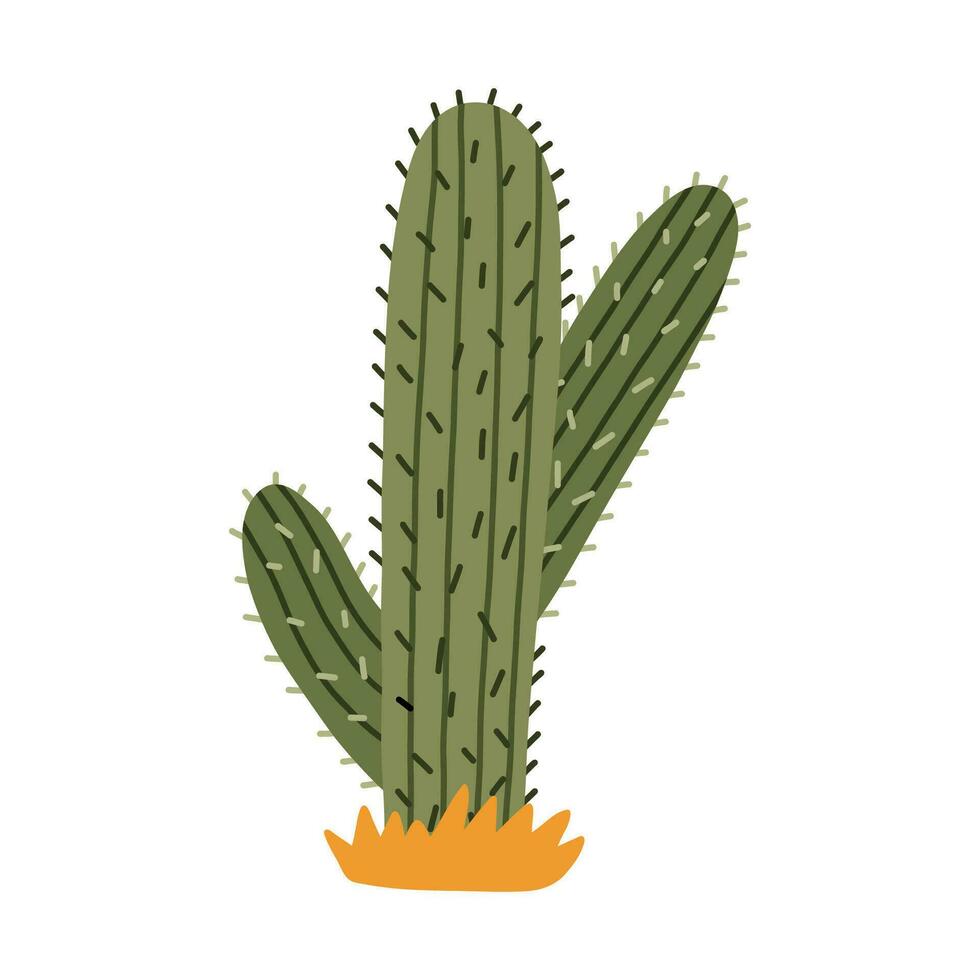 süß Hand gezeichnet Saguaro Kaktus von Mexiko oder wild Westen Wüste. Vektor einfach Kakteen Blume mit Dornen im Karikatur Stil. Mexikaner stachelig exotisch Pflanze isoliert auf Weiß Hintergrund.